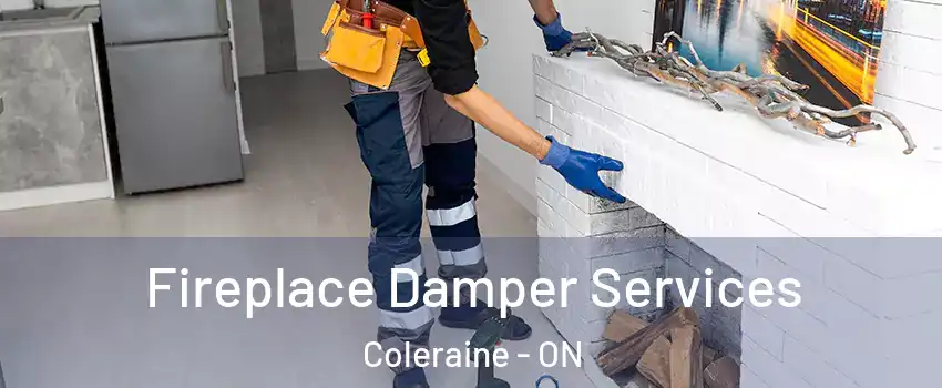 Fireplace Damper Services Coleraine - ON