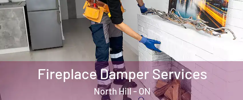 Fireplace Damper Services North Hill - ON