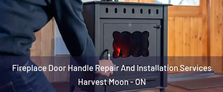  Fireplace Door Handle Repair And Installation Services Harvest Moon - ON