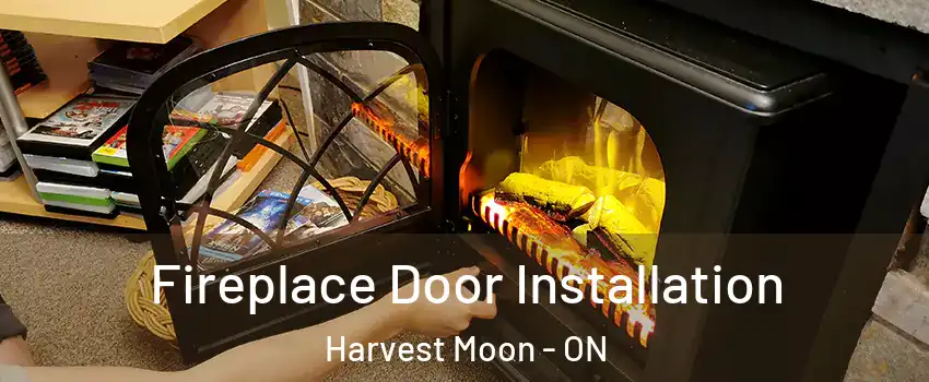 Fireplace Door Installation Harvest Moon - ON