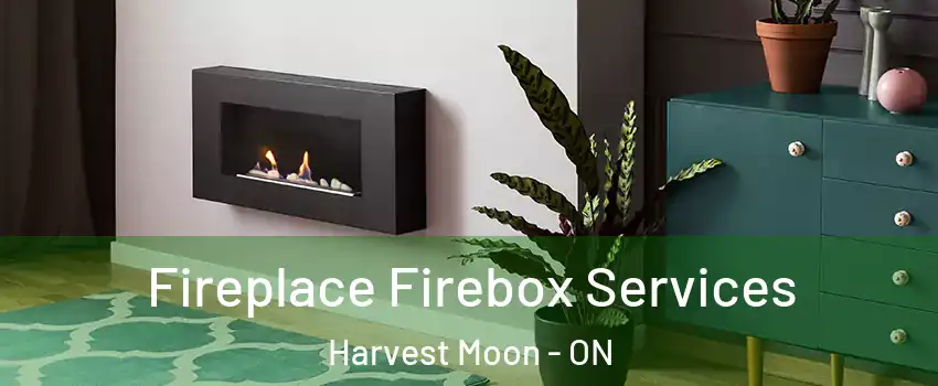 Fireplace Firebox Services Harvest Moon - ON