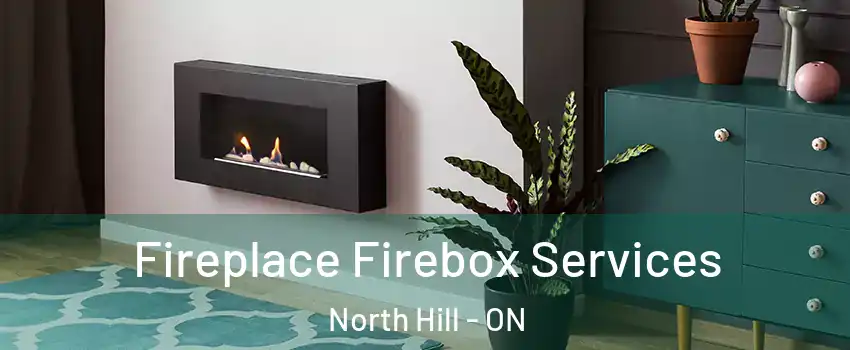 Fireplace Firebox Services North Hill - ON