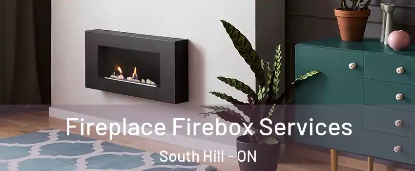 Fireplace Firebox Services South Hill - ON