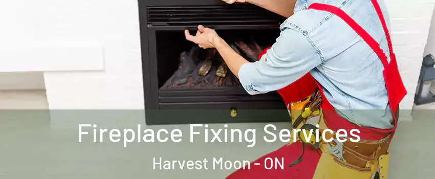 Fireplace Fixing Services Harvest Moon - ON