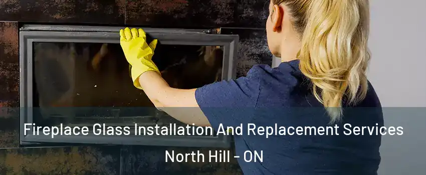 Fireplace Glass Installation And Replacement Services North Hill - ON
