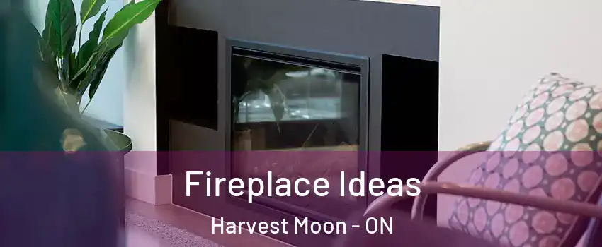 Fireplace Ideas Harvest Moon - ON