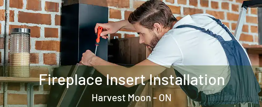 Fireplace Insert Installation Harvest Moon - ON