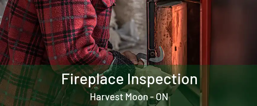 Fireplace Inspection Harvest Moon - ON