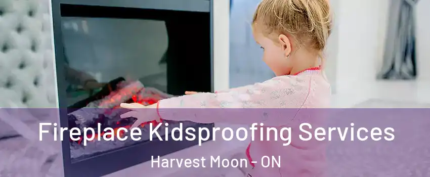 Fireplace Kidsproofing Services Harvest Moon - ON