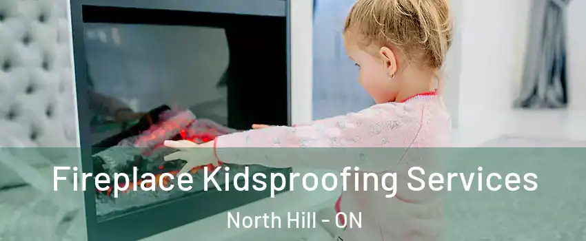 Fireplace Kidsproofing Services North Hill - ON