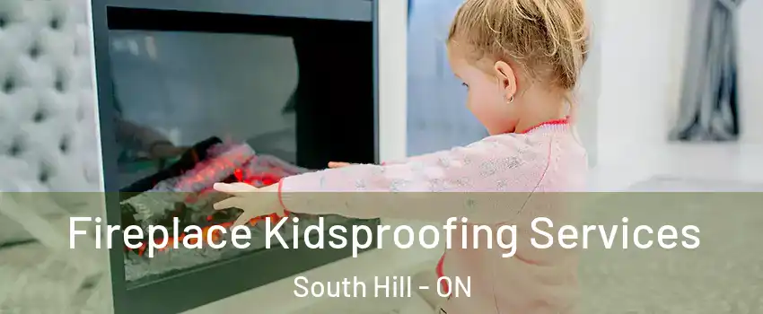 Fireplace Kidsproofing Services South Hill - ON