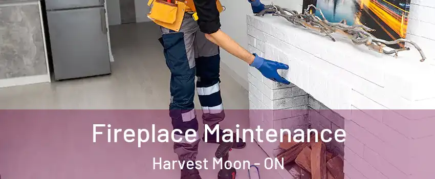 Fireplace Maintenance Harvest Moon - ON