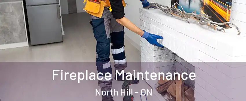 Fireplace Maintenance North Hill - ON