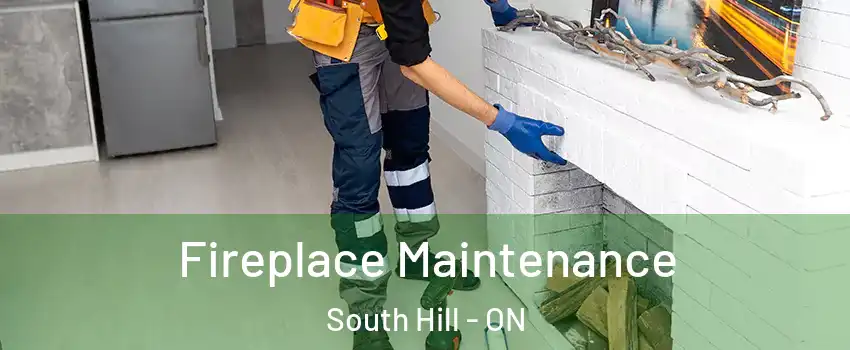 Fireplace Maintenance South Hill - ON
