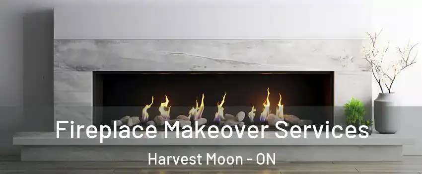 Fireplace Makeover Services Harvest Moon - ON