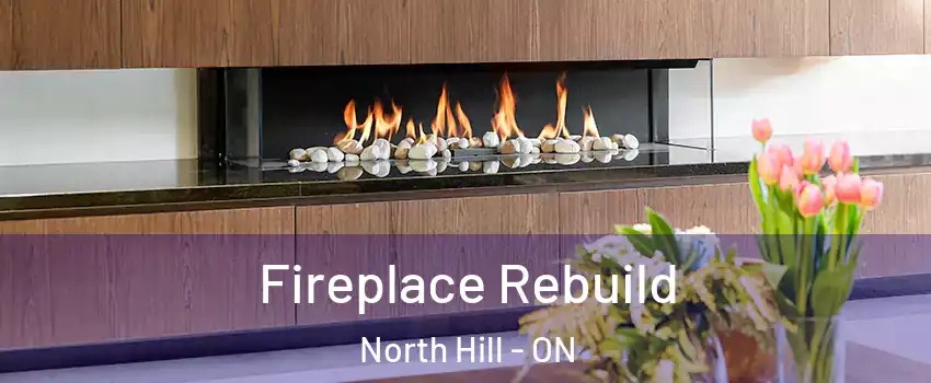 Fireplace Rebuild North Hill - ON