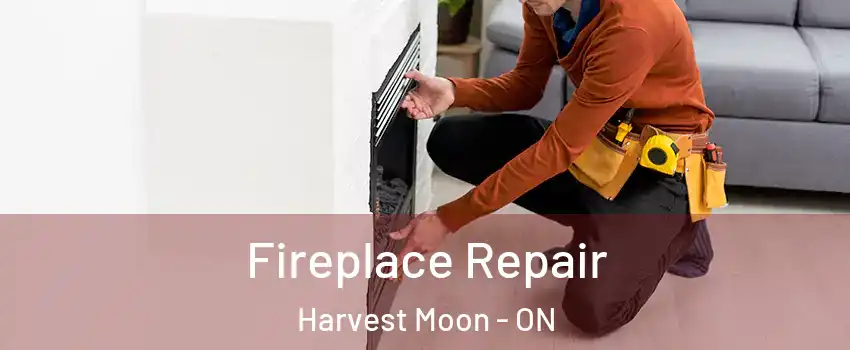 Fireplace Repair Harvest Moon - ON