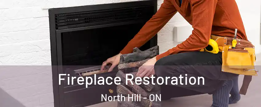 Fireplace Restoration North Hill - ON