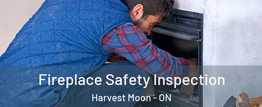 Fireplace Safety Inspection Harvest Moon - ON