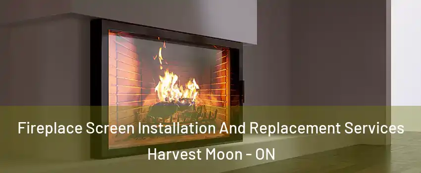 Fireplace Screen Installation And Replacement Services Harvest Moon - ON