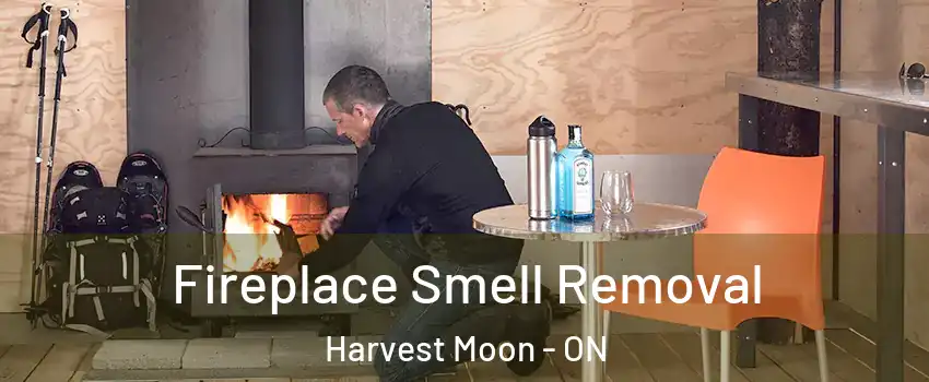 Fireplace Smell Removal Harvest Moon - ON