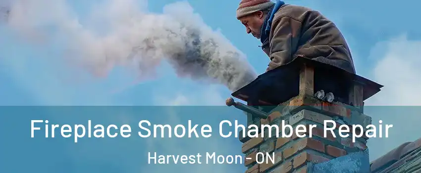 Fireplace Smoke Chamber Repair Harvest Moon - ON