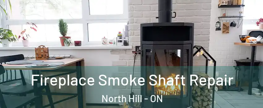 Fireplace Smoke Shaft Repair North Hill - ON