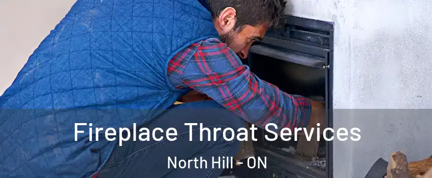 Fireplace Throat Services North Hill - ON