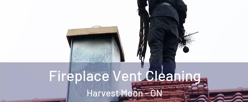 Fireplace Vent Cleaning Harvest Moon - ON