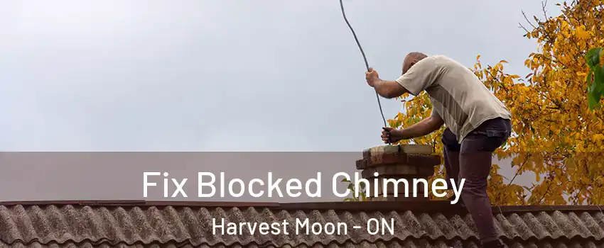 Fix Blocked Chimney Harvest Moon - ON