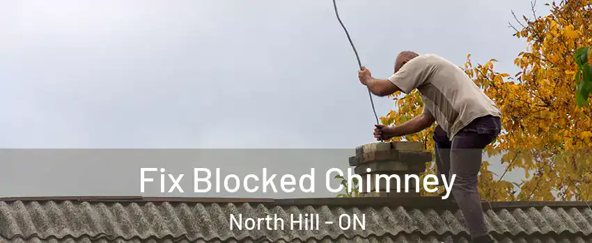 Fix Blocked Chimney North Hill - ON
