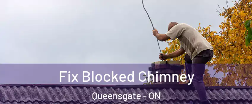 Fix Blocked Chimney Queensgate - ON