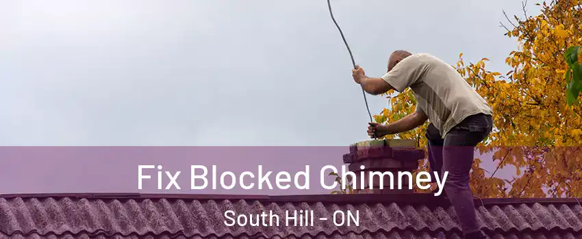 Fix Blocked Chimney South Hill - ON