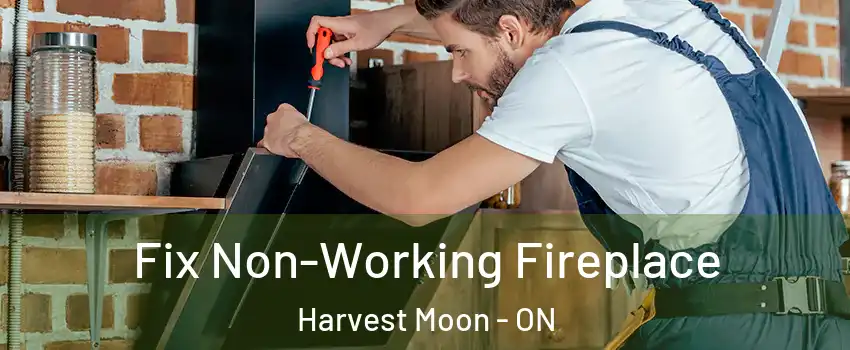 Fix Non-Working Fireplace Harvest Moon - ON