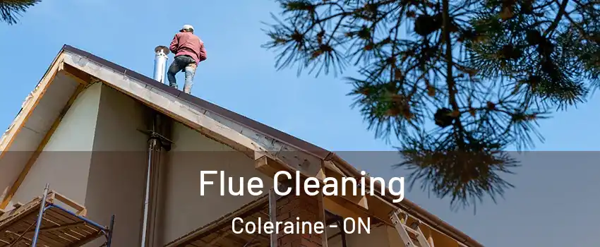 Flue Cleaning Coleraine - ON