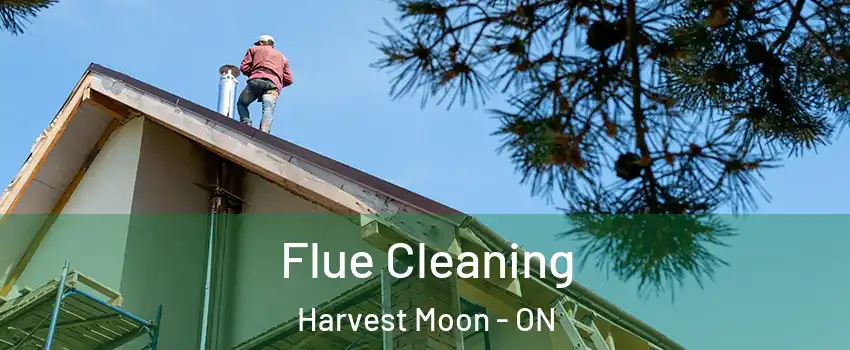 Flue Cleaning Harvest Moon - ON