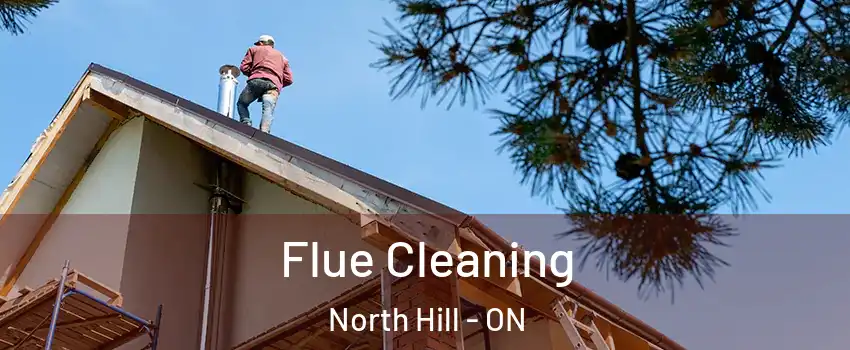 Flue Cleaning North Hill - ON