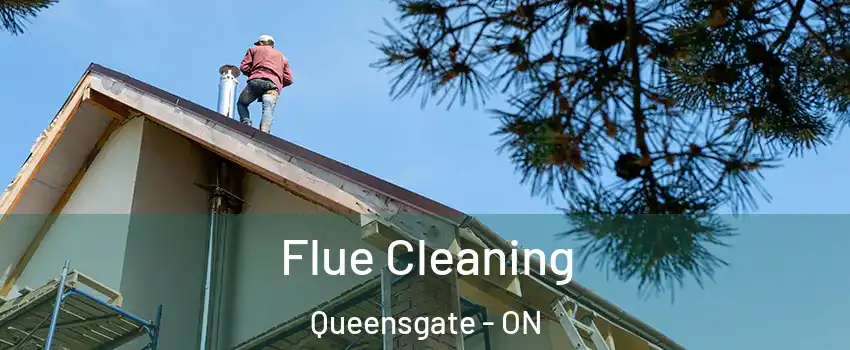 Flue Cleaning Queensgate - ON