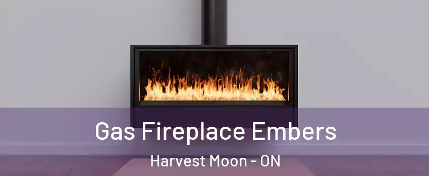 Gas Fireplace Embers Harvest Moon - ON