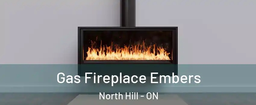 Gas Fireplace Embers North Hill - ON