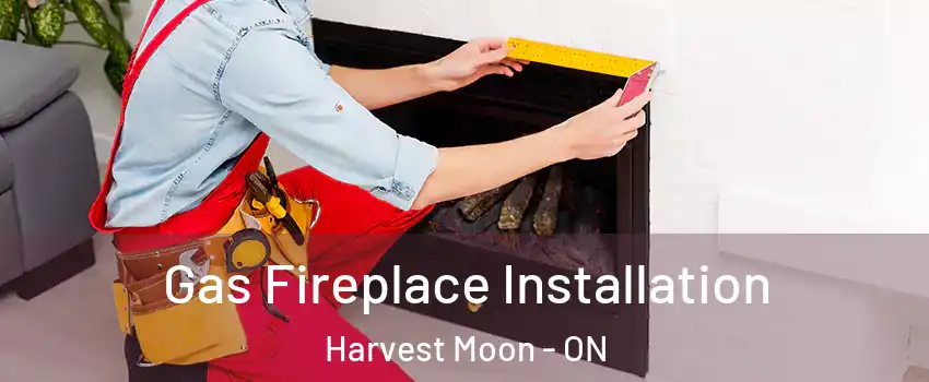 Gas Fireplace Installation Harvest Moon - ON