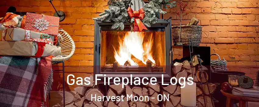 Gas Fireplace Logs Harvest Moon - ON