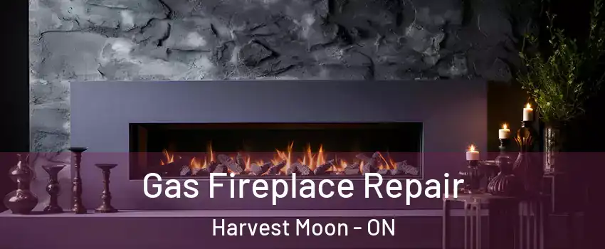 Gas Fireplace Repair Harvest Moon - ON