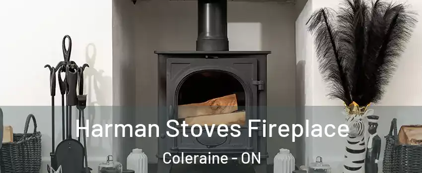 Harman Stoves Fireplace Coleraine - ON