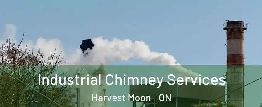 Industrial Chimney Services Harvest Moon - ON