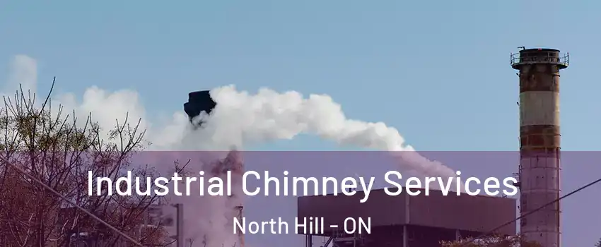 Industrial Chimney Services North Hill - ON