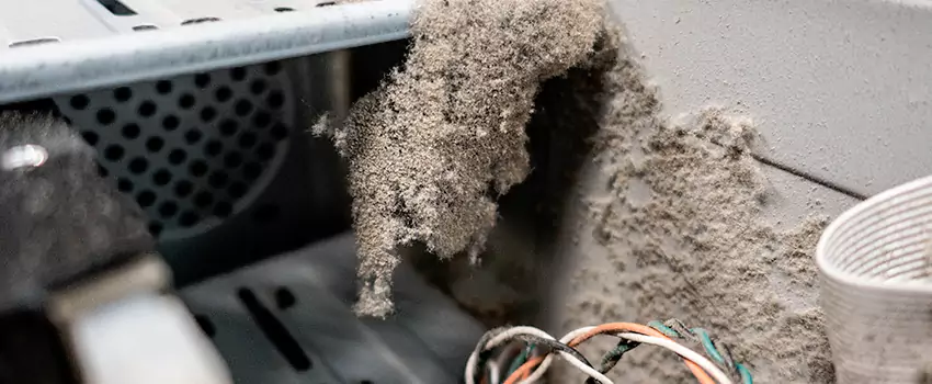 Clogged Dryer Vent Lint Cleaning in Bolton, Ontario