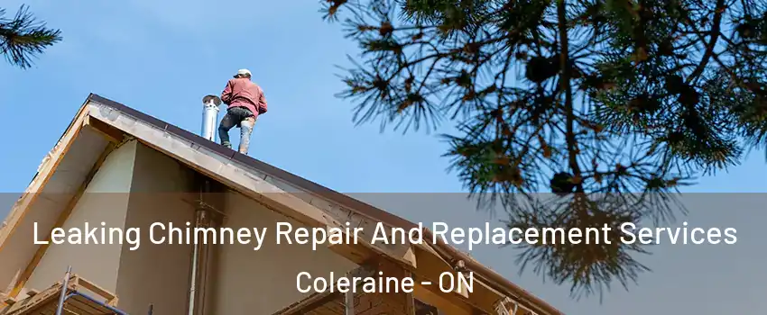 Leaking Chimney Repair And Replacement Services Coleraine - ON