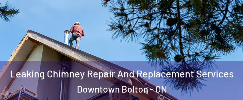 Leaking Chimney Repair And Replacement Services Downtown Bolton - ON