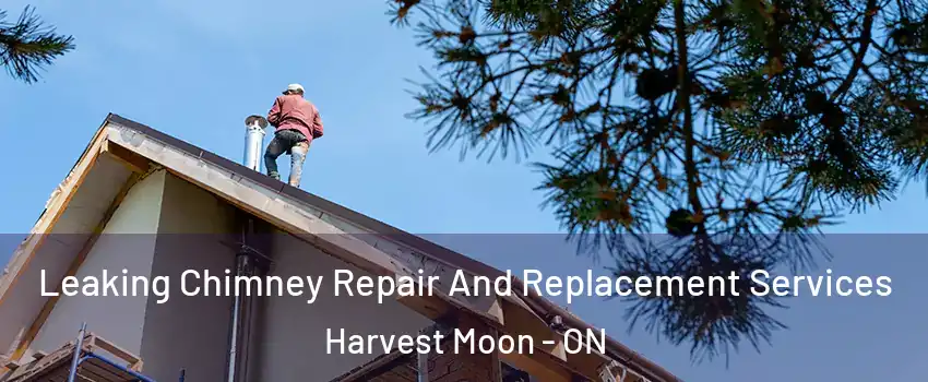 Leaking Chimney Repair And Replacement Services Harvest Moon - ON